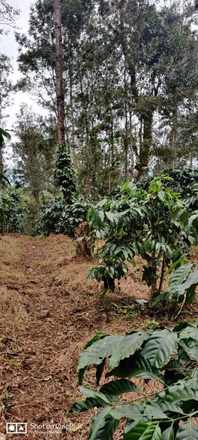 La Paz Coorg Homestay At Madikeri Town Ngoại thất bức ảnh