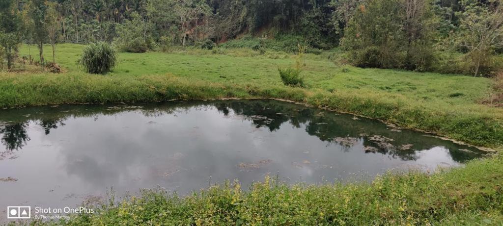 La Paz Coorg Homestay At Madikeri Town Ngoại thất bức ảnh